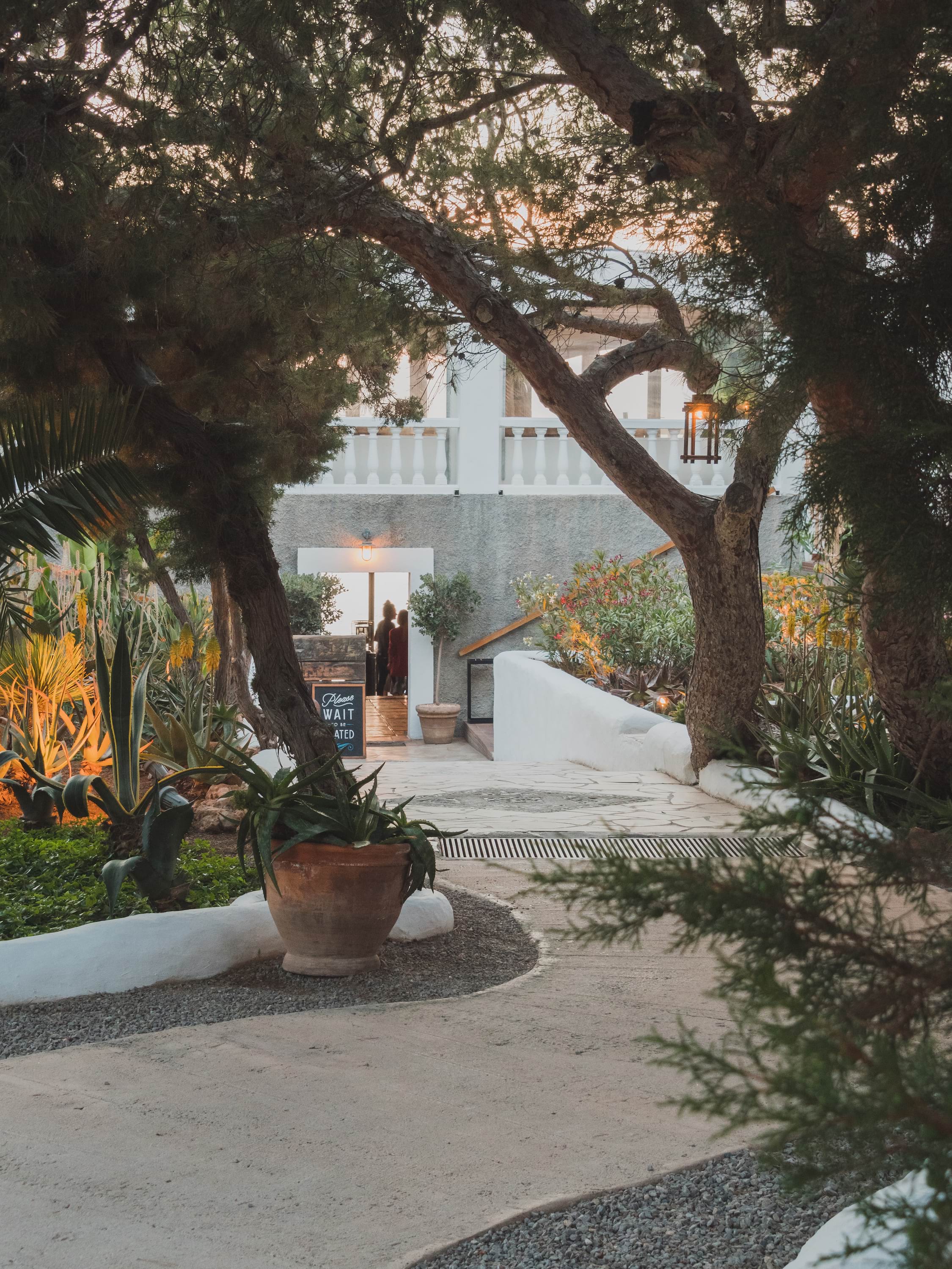 Sunlit courtyard with trees and potted plants