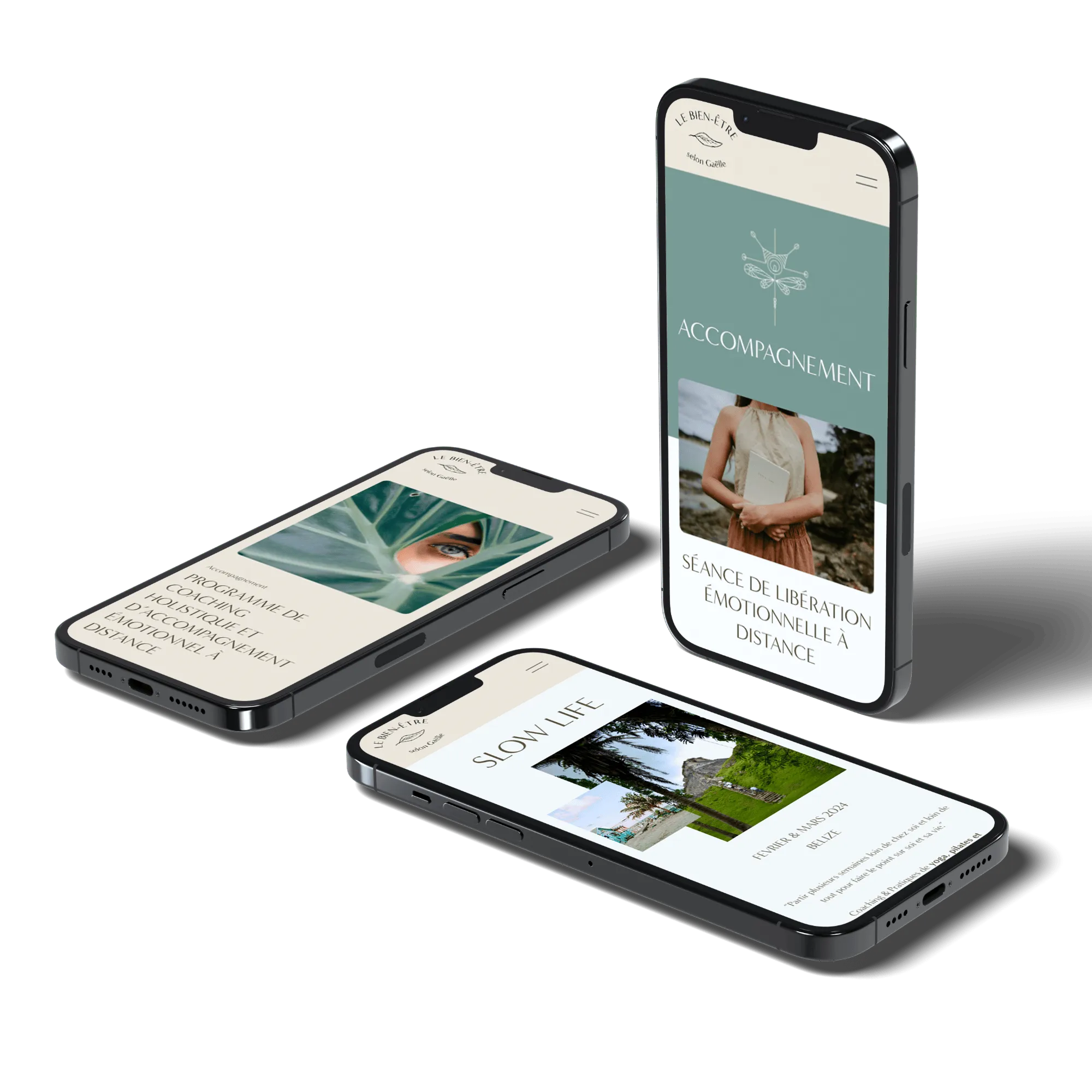 Gaëlle Blanquart website displayed on phones