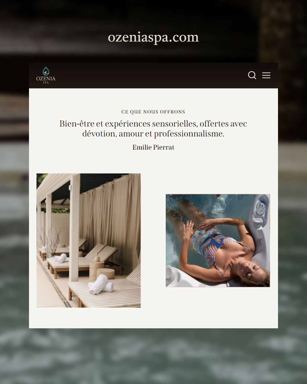 Ozenia Spa website layout with treatment imagery
